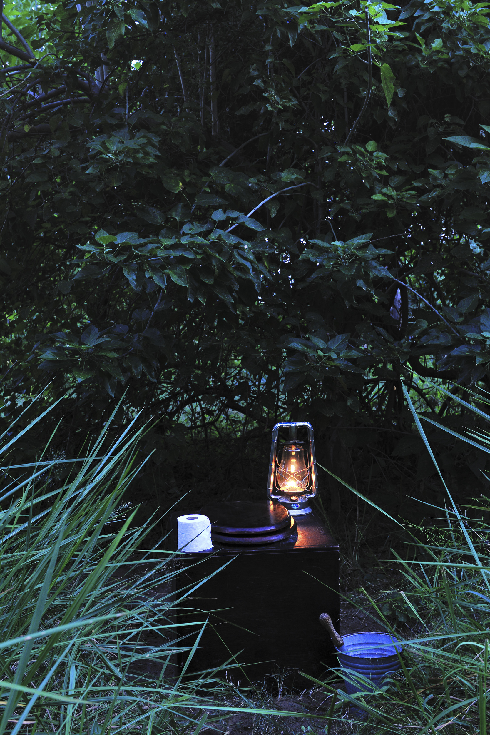 A quaint lantern-lit toilet setup deep in the wilderness, creating a charming yet practical spot.