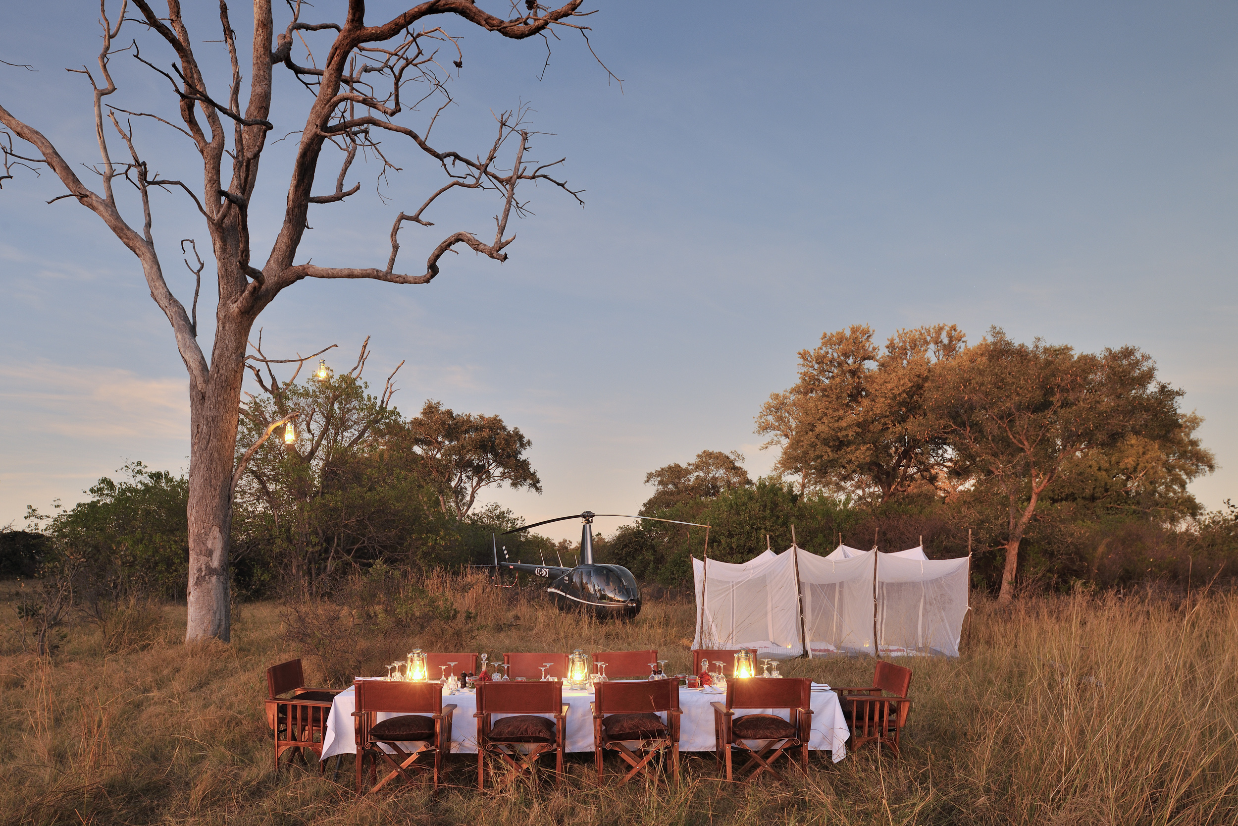 Dining in the wild after a day of flying and exploration, surrounded by nature's golden hues.