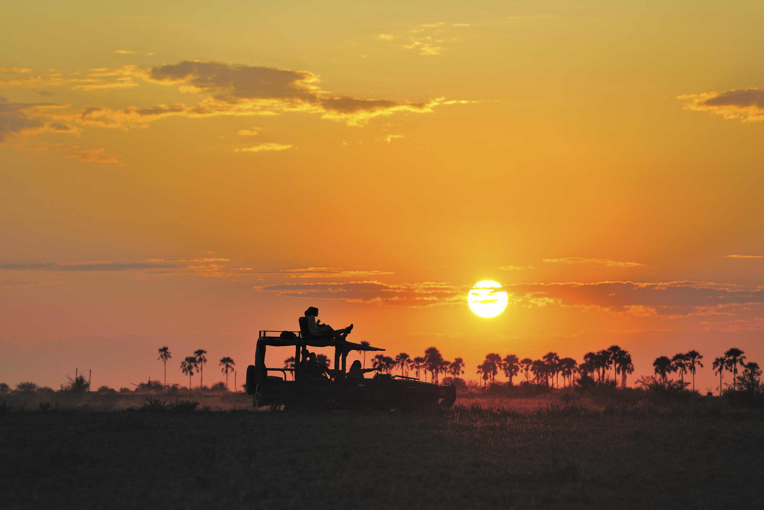 Imagine the thrill of a safari vehicle silhouetted against a breathtaking sunset, framed by swaying palm trees on the horizon.